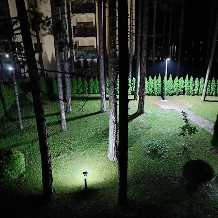 Aida ズラティボール